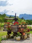 Kickstarting Wines of the French Alps
